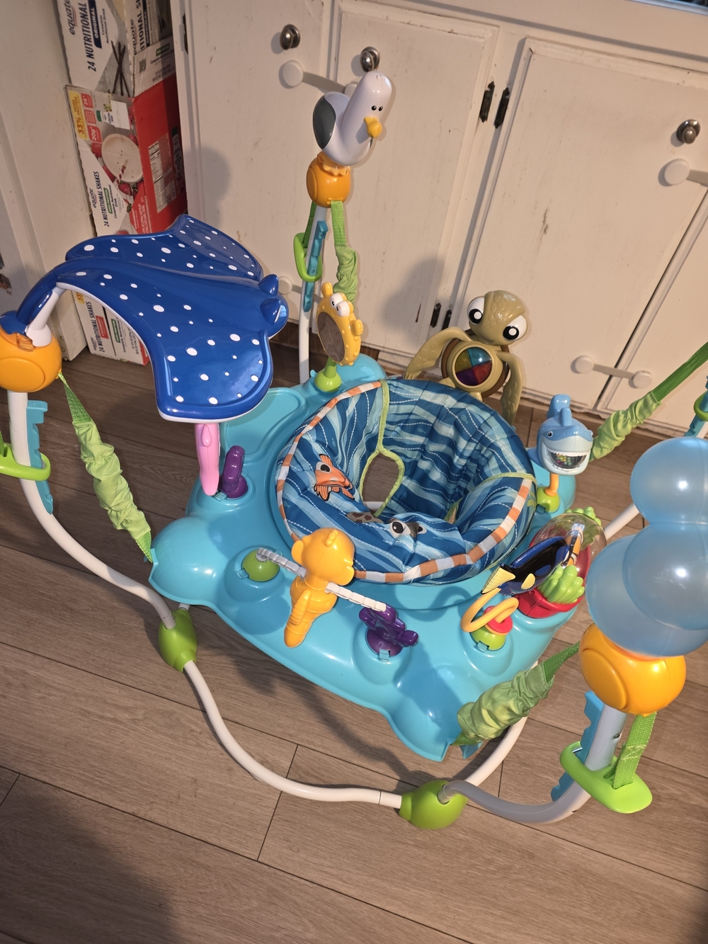 Disneys Finding Nemo Bouncer
